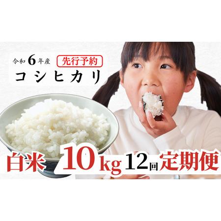 ふるさと納税 白米 10kg 令和6年産 コシヒカリ 岡山 あわくら源流米 K-ag-DDZA 岡山県西粟倉村