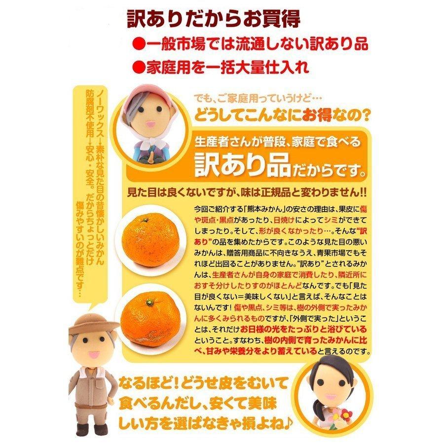 みかん 9kg 熊本産 ご家庭用 大玉みかん 送料無料 食品