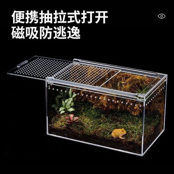 💕在臺出貨🔥亞克力爬蟲飼養箱磁吸加厚透明保溫盒陸龜螳螂守宮角蛙蜥蜴造型房 守宮飼養箱 爬蟲飼養箱 飼養箱 爬蟲箱 飼養盒