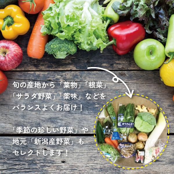 ｜送料無料｜7品 おまけ付き 野菜詰め合わせ ｜ 野菜セット 詰め合わせ 新潟 旬 野菜 フルーツ