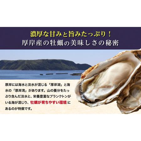 ふるさと納税 定期便 3ヶ月 北海道 厚岸産 牡蠣 Lサイズ 20個 (各回20個×3ヶ月分,合計60個) 殻付き 生食 カキナイフ付き かき カキ 北海道厚岸町