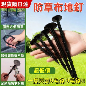【免運】防草布專用固定地釘 16厘米20厘米 倒刺地釘 黑色塑料地釘 大棚地膜釘 園藝地釘 除草布地釘 塑料地釘1293