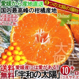 産地直送 みかん 愛媛 約10kg 宇和の太陽 大玉限定 L～3Lサイズ 柑橘 温州ミカン 蜜柑 3つの太陽 とりたて完熟蜜柑