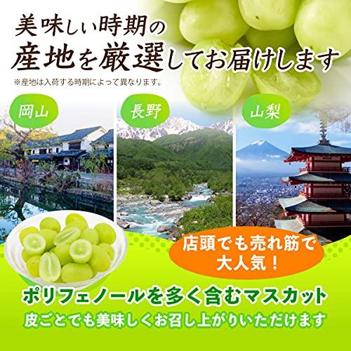 美味いとこどり 長野県産 山梨県産 岡山県産 福岡県産 高級 シャインマスカット 中粒サイズ 高糖度平均20度超え 野菜ソムリエ推奨 2房(約600g