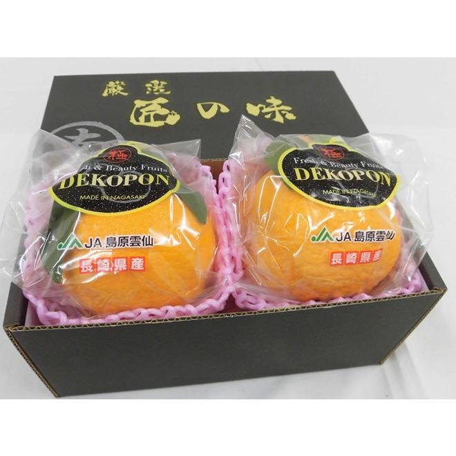 長崎 マルナン ”匠の味 葉付きデコポン” 秀品 大玉2玉 専用化粧箱 送料無料