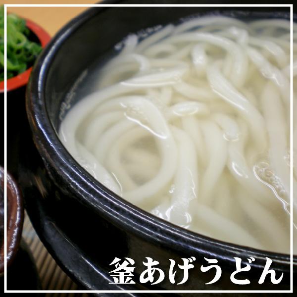 送料無料 半生 讃岐うどん 200g×2袋 つゆ付き ポスト投函 かけ ぶっかけ ざる しょうゆ 釜あげ 釜玉 香川県