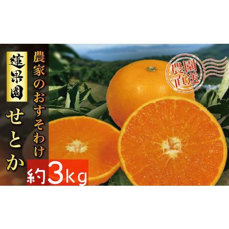 ふるさと納税 せとか B品 家庭用3kg ｜ 訳あり みかん 訳あり みかん 柑橘 訳あり みかん あいか 訳あり みかん  訳あり み.. 愛媛県松山市