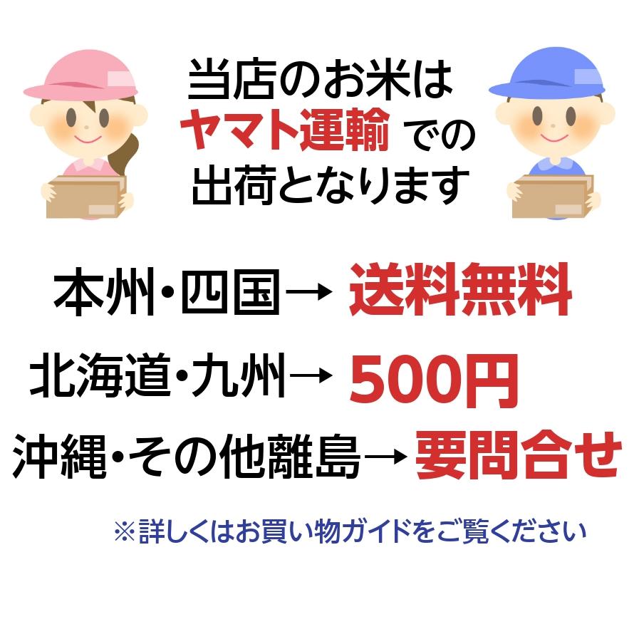 新米 米 お米 あきたこまち 茨城県産 5年産 白米22.5kg 玄米25kg 送料無料 一部地域除く