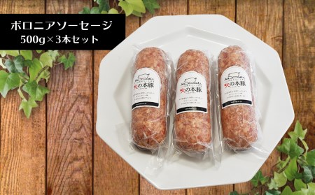 火の本豚 ボロニアソーセージ（500ｇ×3本セット）