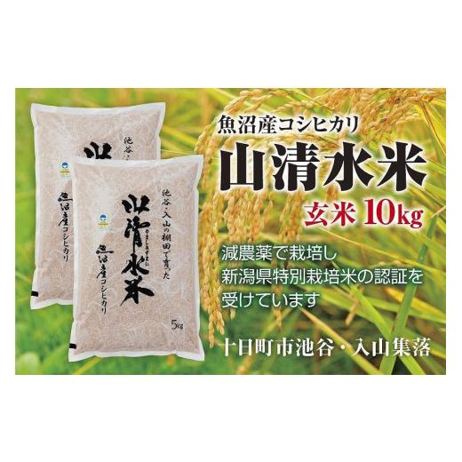 ふるさと納税 新潟県 十日町市 新潟県魚沼産コシヒカリ「山清水米」玄米10kg