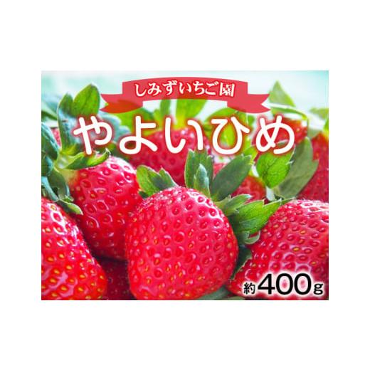 ふるさと納税 群馬県 安中市 No.347 群馬県産いちご「やよいひめ」約400g　贈答用化粧箱入り ／ 群馬県いちご品評会銀賞・銅賞受賞 フルーツ 果物 …