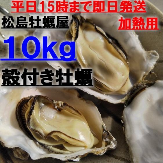 魚介類 牡蠣 牡蠣１０ｋｇ 松島牡蠣屋 殻付き 牡蠣 殻付き宮城県産牡蛎 産地直送