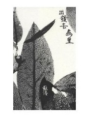 出發去烏里[二手書_良好]
