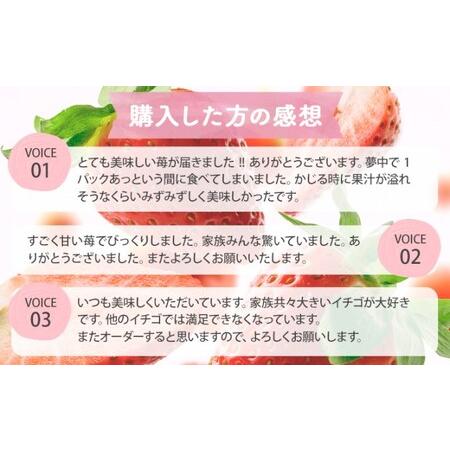 ふるさと納税 いちご 2023年12月より発送 うるう農園のあまおう スタンダード4パック 約1.14kg※配送不可：離島 福岡県朝倉市