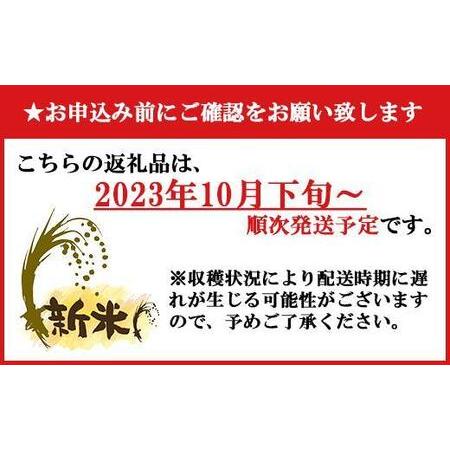 ふるさと納税 南魚沼産コシヒカリ5kg 新潟県南魚沼市