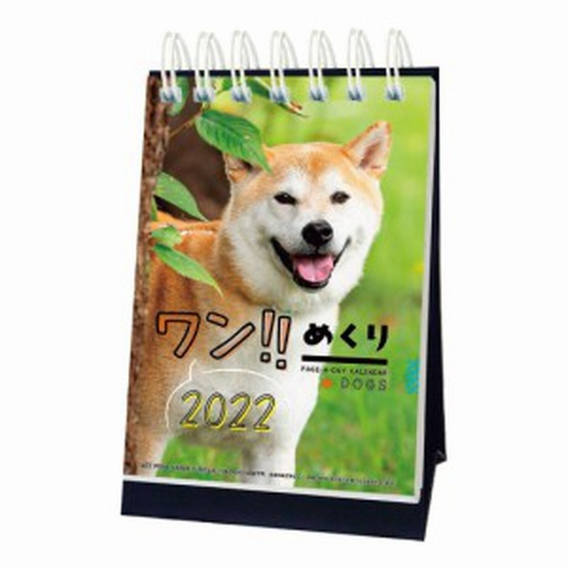 ワン めくり カレンダー 卓上 22 犬 いぬ 日めくり 日曜始まり かわいい おしゃれ 癒し シンプル 動物写真 書き込み 予定管理 スケジ 通販 Lineポイント最大6 0 Get Lineショッピング