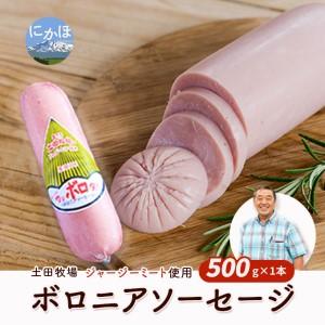 ふるさと納税 生食OK！ジャージーミート使用 ボロニアソーセージ500g×1本 秋田県にかほ市