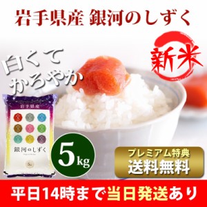 新米 米 5kg 岩手県産 銀河のしずく 1等米 令和5年産 お米 5kg プレミアム特典 送料無料 北海道・沖縄配送不可 即日発送 クーポン対象