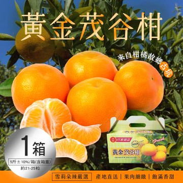 【雪莉朵辣嚴選】黃金茂谷柑 5斤/箱(約21-25粒) x1箱