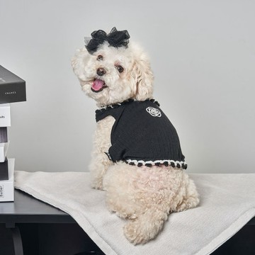韓國品牌 【梨花娘總代理】🐾BAILEY 🐶秋冬新品 山茶花刺繡方形領口粗花編織保暖針織寵物服飾(2色)