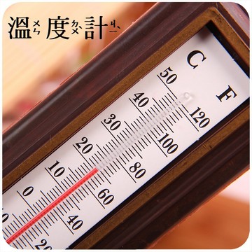 ＊Nicole寵物＊簡易溫度計 TH107（台灣出貨）測量保溫燈＼免電池＼可掛壁＼環境健康管理＼室內溫度計＼無濕度功能