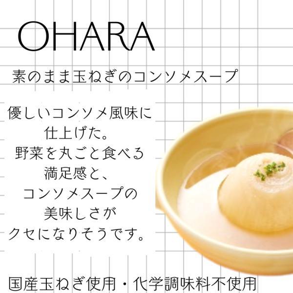 素のまま玉ねぎのコンソメスープ 200g 1個 オハラ 玉ねぎスープ たまねぎスープ 国産 玉葱 玉ねぎ オニオン スープ