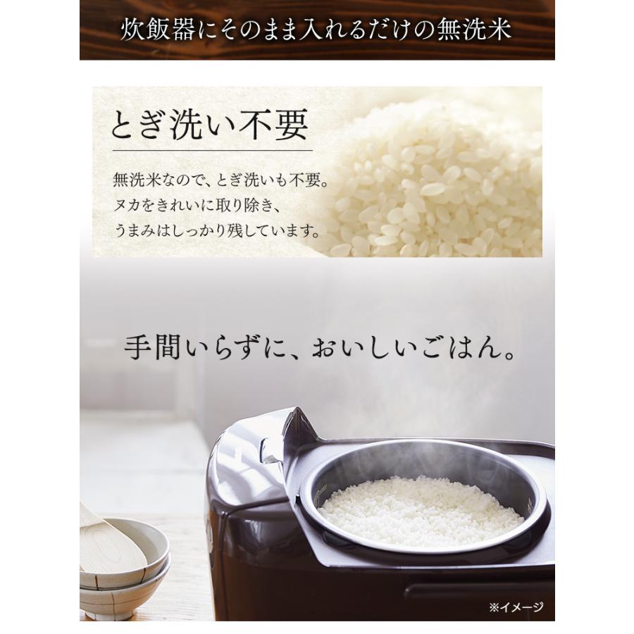 無洗米 2kg 送料無料 新潟県産こしひかり 令和5年度産 生鮮米 こしひかり 低温製法米 お米 白米 一人暮らし アイリスオーヤマ