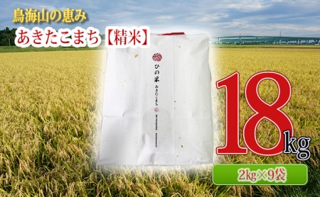 秋田県産 あきたこまち 精米 18kg（2kg×9袋）神宿る里の米「ひの米」（お米 小分け）