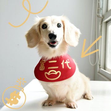 寵物國民領巾系列 | 富二代 |