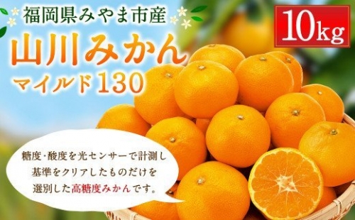 B35山川みかん 8kg マイルド130 数量限定 柑橘 みかん ミカン 蜜柑