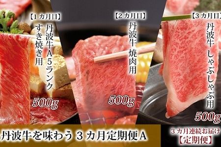 丹波牛を味わう 定期便Ａ 丹波牛定期便 食べ比べ定期便 牛肉定期便 焼肉 すき焼き しゃぶしゃぶ 定期便 ブロック 肉 A5 ランク 牛 冷凍 定期便 京都 京丹波町 定期便  [100IZ001R]