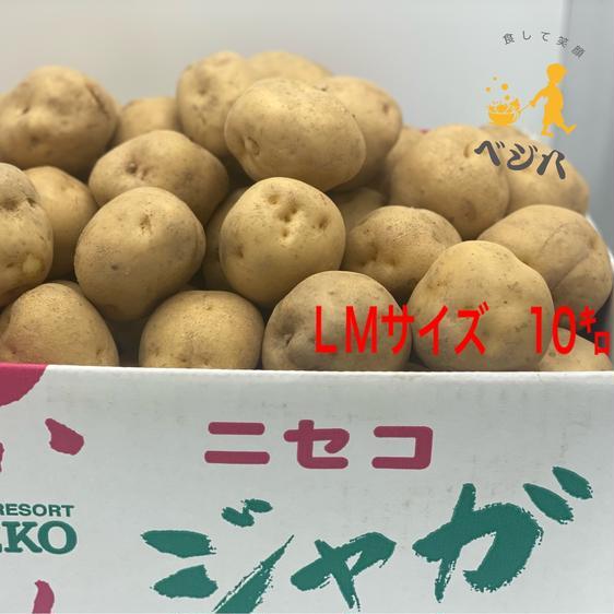 野菜 じゃがいも (1) キタアカリ ＬMサイズ 10キロ じゃがいも 北海道 産地直送