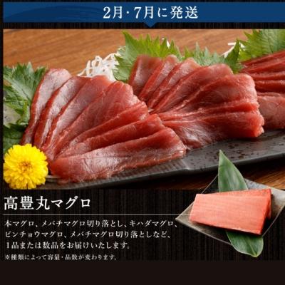 ふるさと納税 室戸市 海からの贈り物!マグロとカツオの定期便