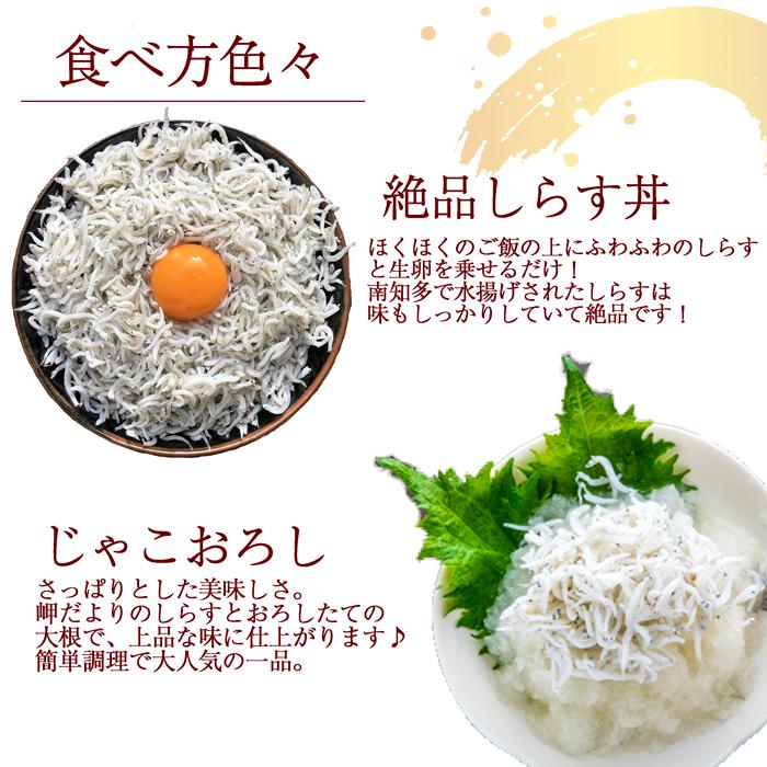 送料無料 しらす (ちりめん) ５００g (愛知県産)