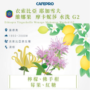 CAFEPRO 衣索比亞 耶加雪菲 維娜果  摩卡妮莎 水洗 G2(咖啡生豆)(二次篩選)