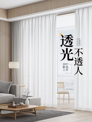 2021新款客廳窗簾紗簾陽臺透光不透人掛鉤式窗紗時尚輕奢白紗紗幔