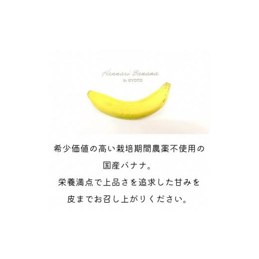 ふるさと納税 京都府 亀岡市 先行予約 国産バナナ 5本セット 皮まで食べられる 『京都はんなりばなな』《栽培期間中農薬不使用 京都初 亀岡産 希少》※2024年3…