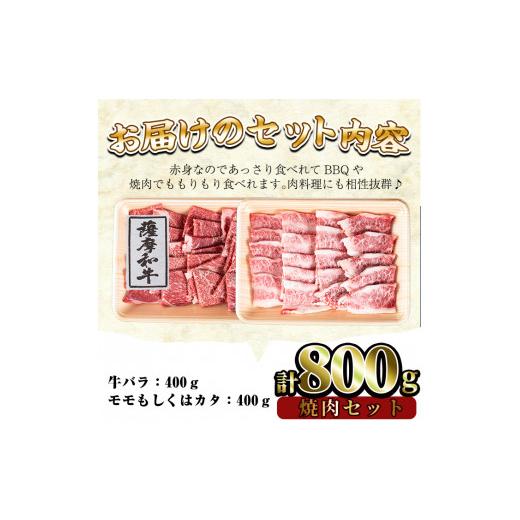 ふるさと納税 鹿児島県 日置市 No.420《先行予約受付中！2024年1月中旬以降に発送予定》 薩摩和牛の焼肉セット(合計800g・牛バラ焼肉用400g、モモもしくはカタ…