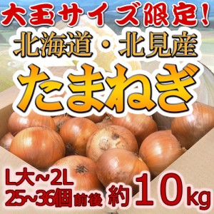 北海道 北見F1 ”たまねぎ” 秀品 約10kg 大玉L～LLサイズ 玉葱 送料無料