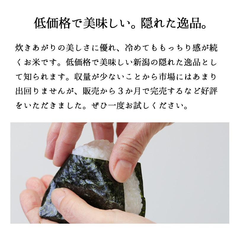 新米 20kg みずほの輝き お米 20キロ 令和5年産 新潟県産 精米 白米 送料無料