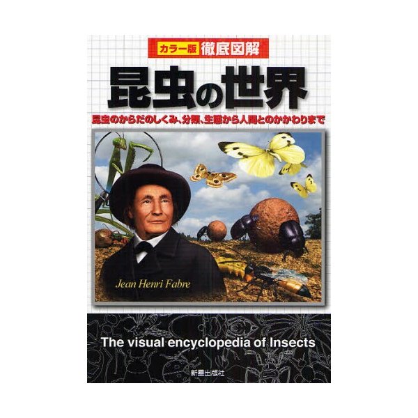 昆虫の世界 昆虫のからだのしくみ,分類,生態から人間とのかかわりまで