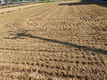 彰化和美水五金特區精緻農地出售｜彰化縣和美鎮大霞段