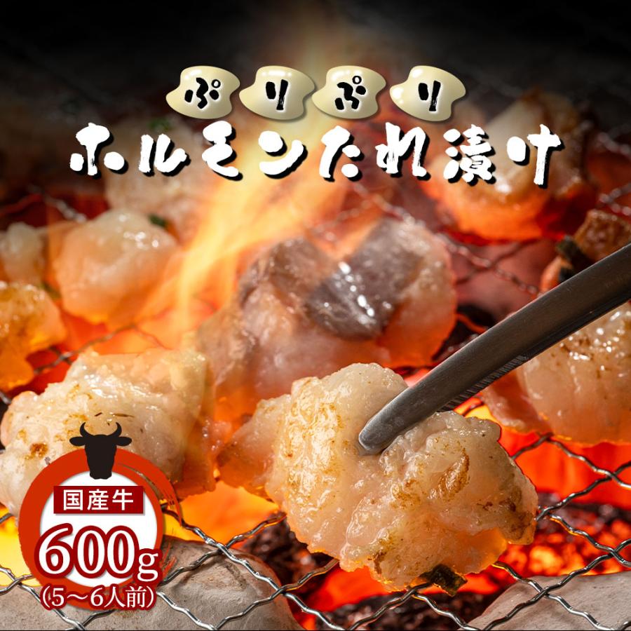 御歳暮 ギフト  ホルモン 小腸 もつ 国産牛ぷりぷりホルモン タレ漬け 600g バーベキュー BBQ 焼肉 もつ焼き ホルモン焼き