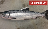 北海道オホーツク湧別産　旬の魚介類　定期便B