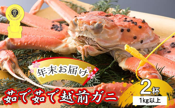 茹で越前ガニ食通もうなる本場の味をぜひ、ご堪能ください。約1kg以上×2杯 越前がに 越前かに 越前カニ ずわいがに かに カニ ボイルガニ