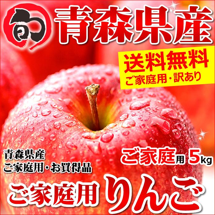 青森県産 りんご サンふじ 5kg (ご家庭用 13〜22玉 生食可)