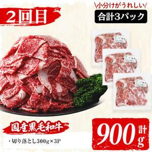 ふるさと納税 t004-011 国産黒毛和牛と九州産豚肉の食卓お助けゴーゴー定期便 計5.55kg 鹿児島県志布志市