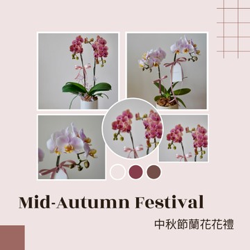 -限台中配送-【Blooming.sein 林粼花藝設計】中秋送禮-蘭花花禮 鮮花 節慶禮物 居家美學 居家擺飾