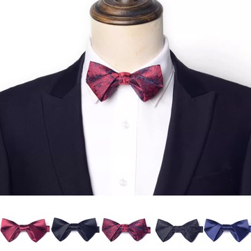 Laifuu.領結狄克彎形新郎主持結婚男領結糾糾