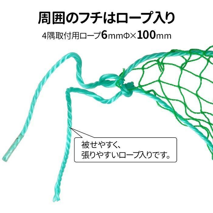 グリーンネット 5m×10m 25mm目 防球ネット 折りたたみ 鳥よけネット 養生ネット グリーン 野球 防鳥ネット カラス グリーンネットフェンス